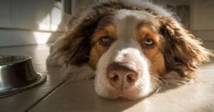 Behavioral Changes Most Owners Miss