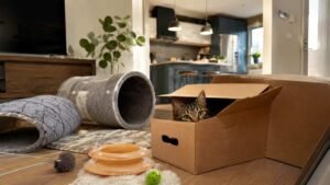 Boxes, Tunnels, and Hideouts