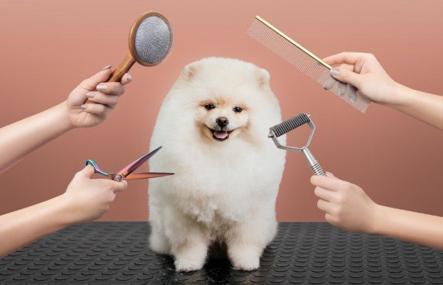 Dog Grooming Tips at Home for a Cleaner Happy Pup