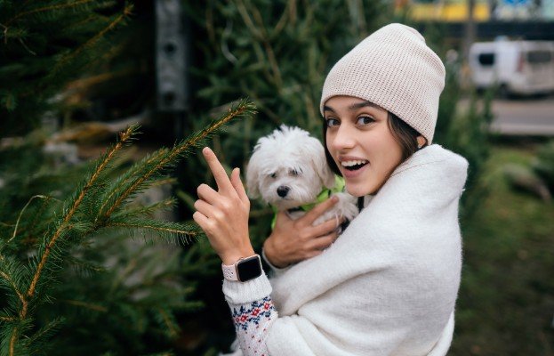Seasonal Dog Grooming Tips for Summer and Winter