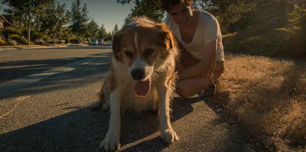 Signs of Dehydration in Dogs I Learned Never to Ignore