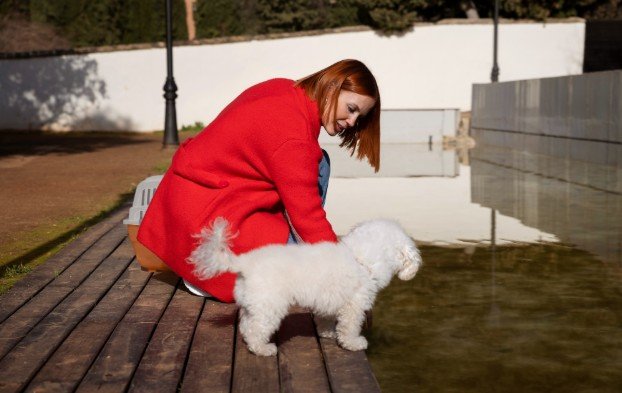 When to Call a Groomer or Vet