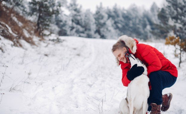 Winter Dog Grooming Tips for Dry Skin and Comfort