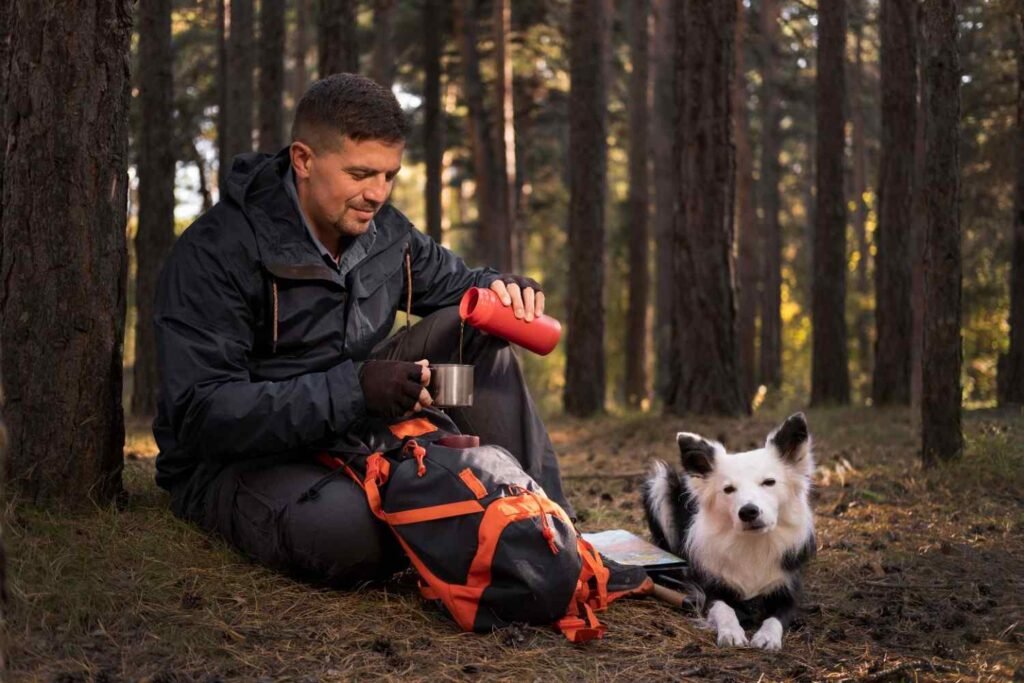 What Should You Do During the First 72 Hours With a Rescue Dog?