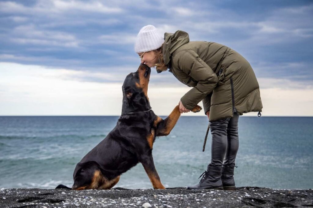 The Biggest Mistake People Make With Rescue Dogs