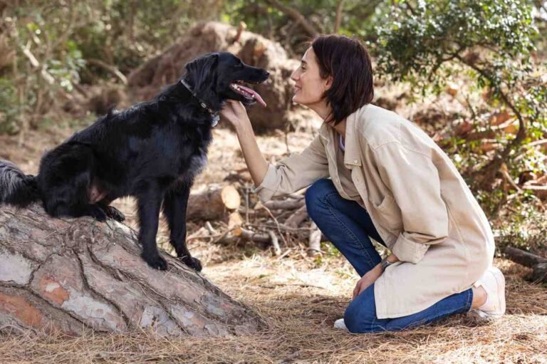 How to Train a Rescue Dog