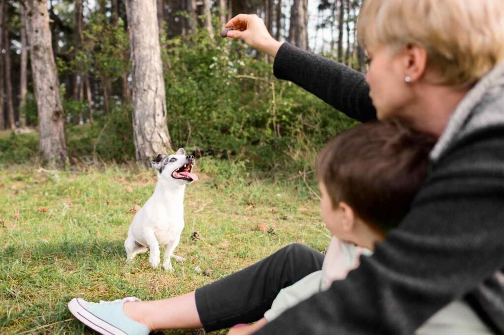 How Long Does Dog Training Take?