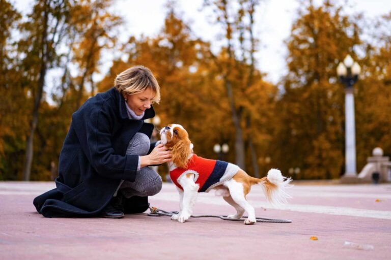 Clicker Training for Dogs