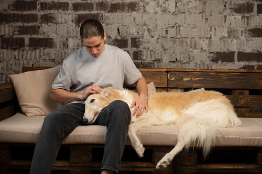 Common Signs Your Dog Has Separation Anxiety