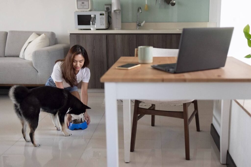 Common Mistakes That Make Hyper Dogs Worse