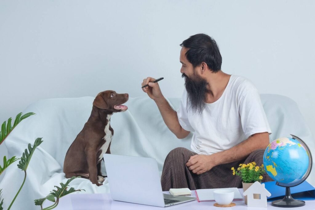 Understanding Puppy Body Language During Socialization