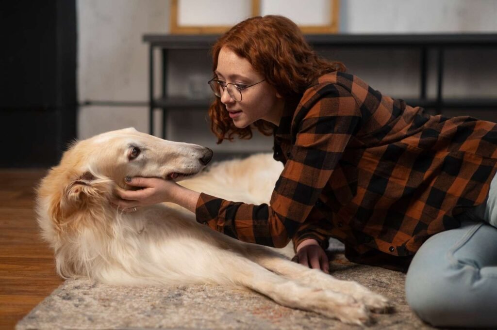 Dog separation anxiety training
