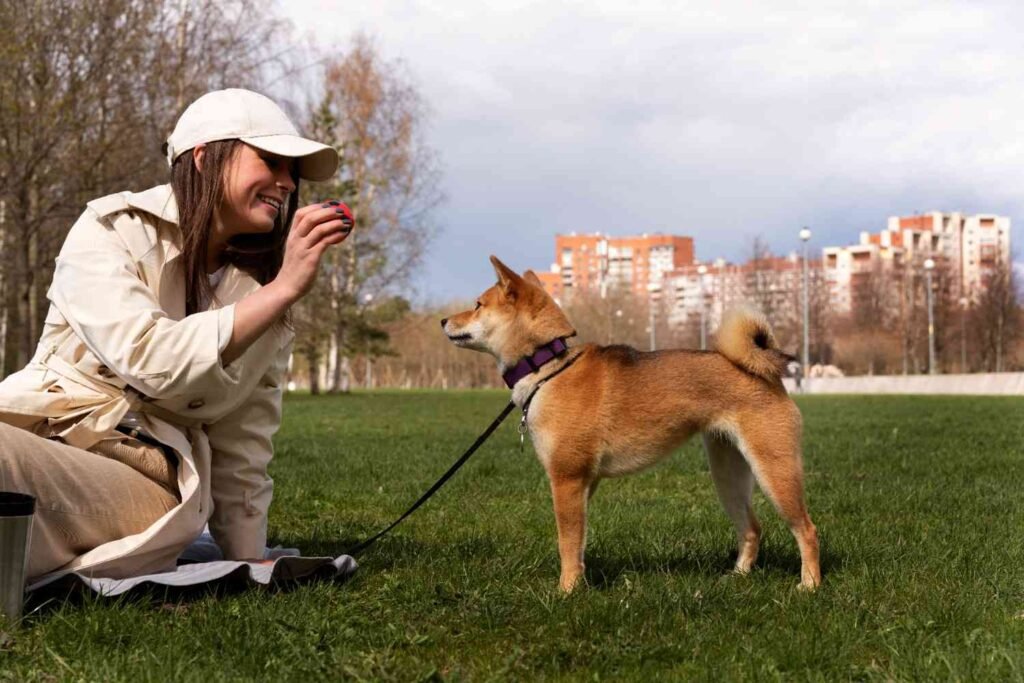 Leash Training a Puppy