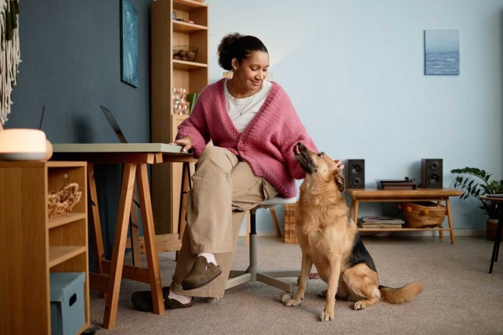 Is Your Dog Hyper, Bored, or Overstimulated?